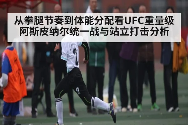 从拳腿节奏到体能分配看UFC重量级阿斯皮纳尔统一战与站立打击分析（kaiyun）