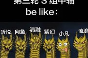 开云APP下载-新人中单小凡进了S组，即将对位向鱼、听悦、紫幻、清融、流浪，亚军起碰